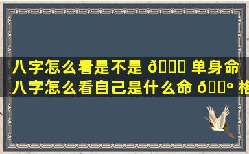 八字怎么看是不是 🐋 单身命（八字怎么看自己是什么命 🌺 格）